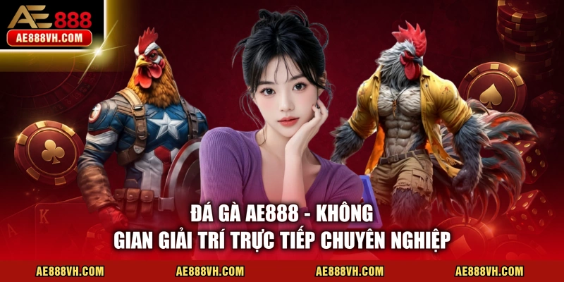 Đá Gà AE888 - Không gian giải trí trực tiếp chuyên nghiệp